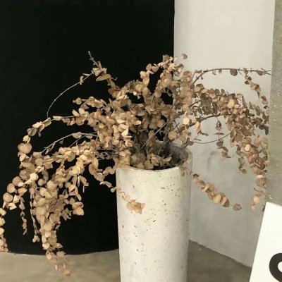 Furry插画氛围技巧Furry群